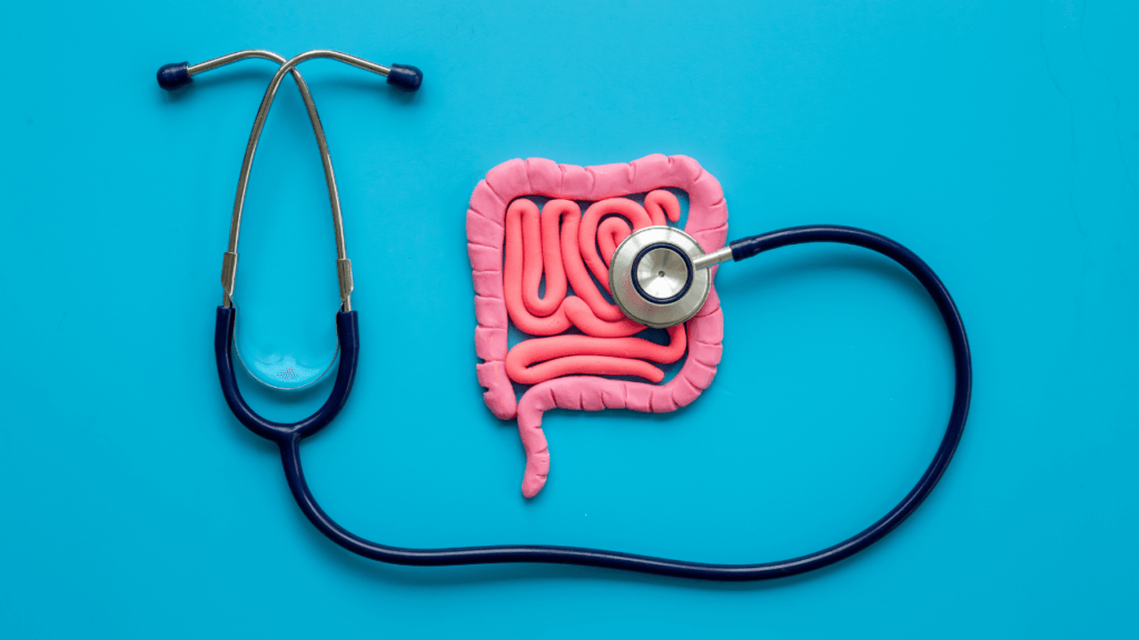 Saúde Intestinal